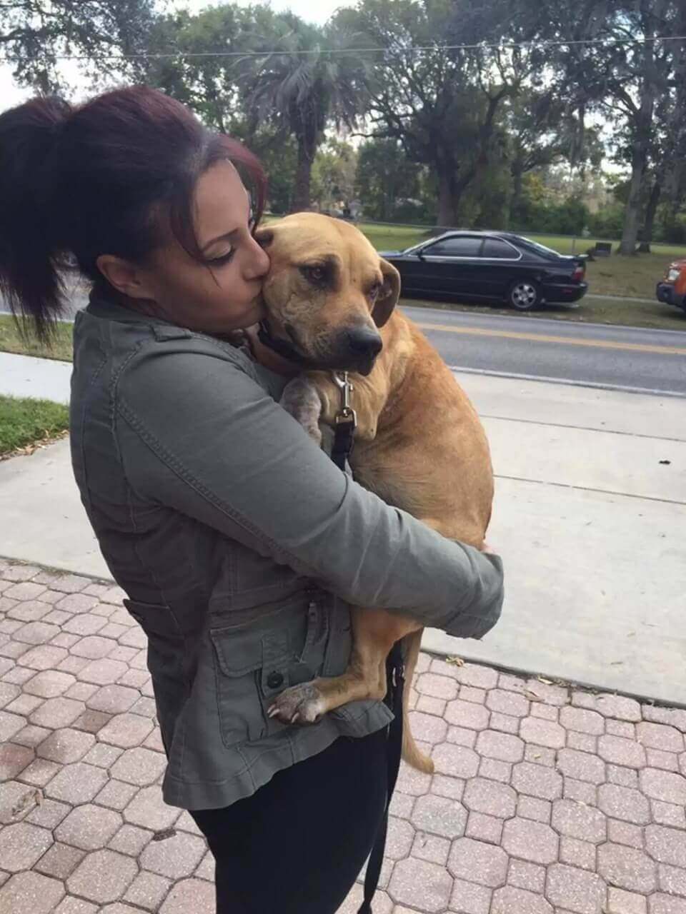 Cachorro não consegue parar de abraçar 