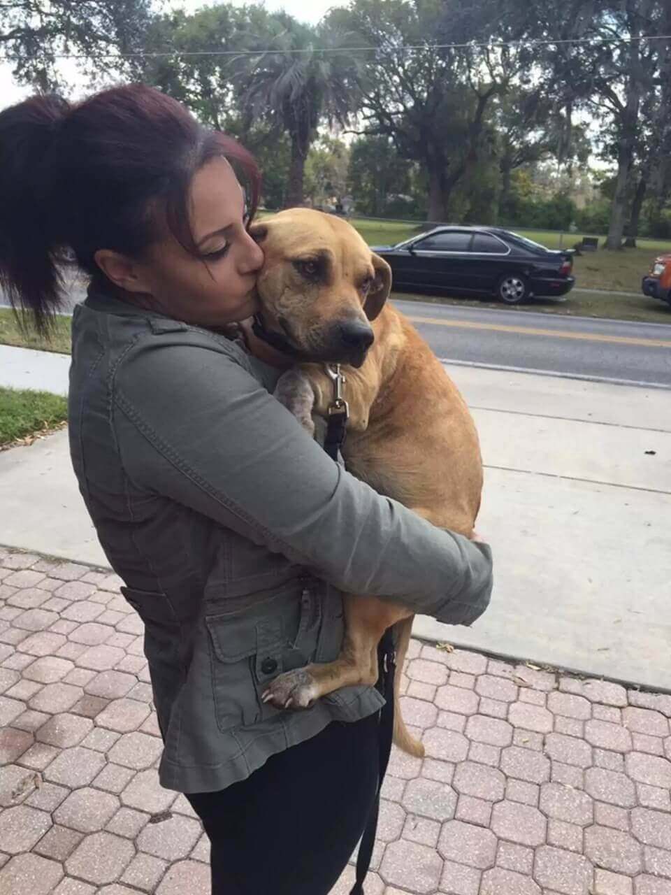 Cachorro não consegue parar de abraçar