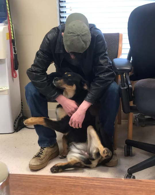 Jovem em situação de rua procura abrigo de animais para deixar carro de estimação