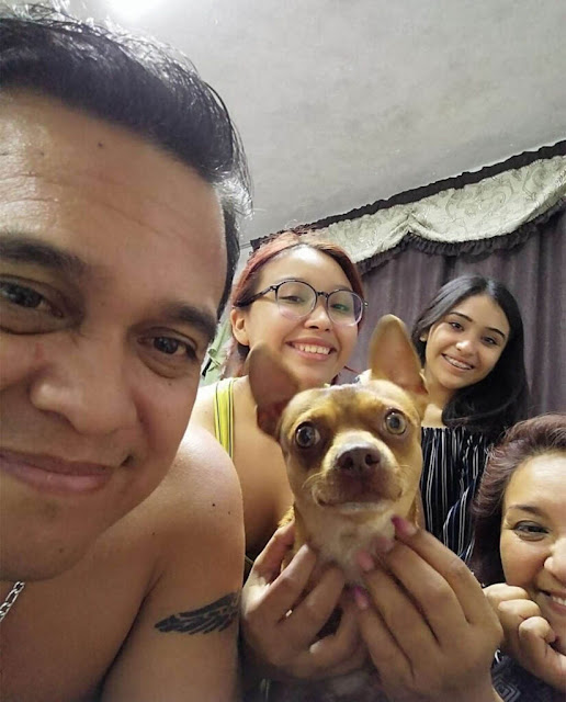 Cachorro ganha festa de aniversário e reação do animal chama atenção; veja fotos e vídeo