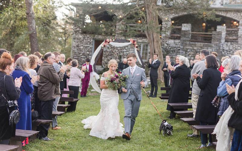 Cão idoso é atração principal em casamento de tutores; veja fotos do look