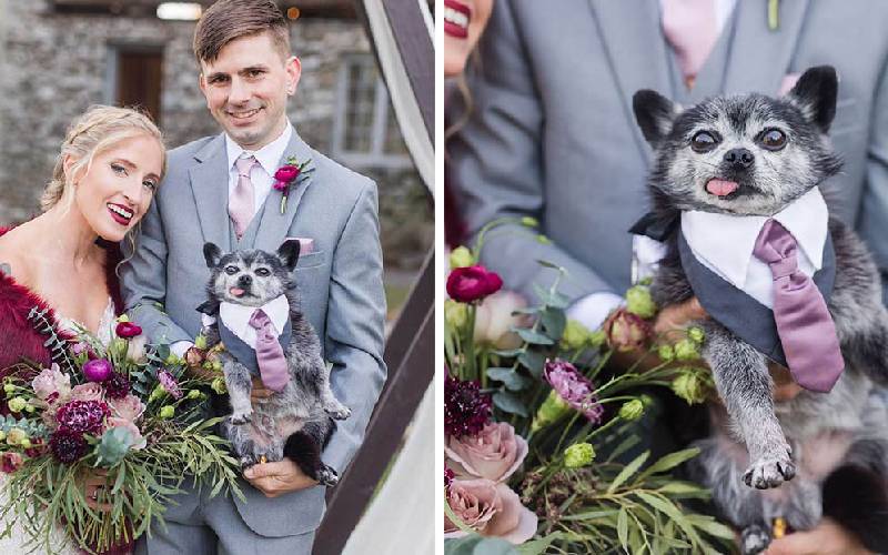 Cachorro trajado solenemente é atração principal em casamento 