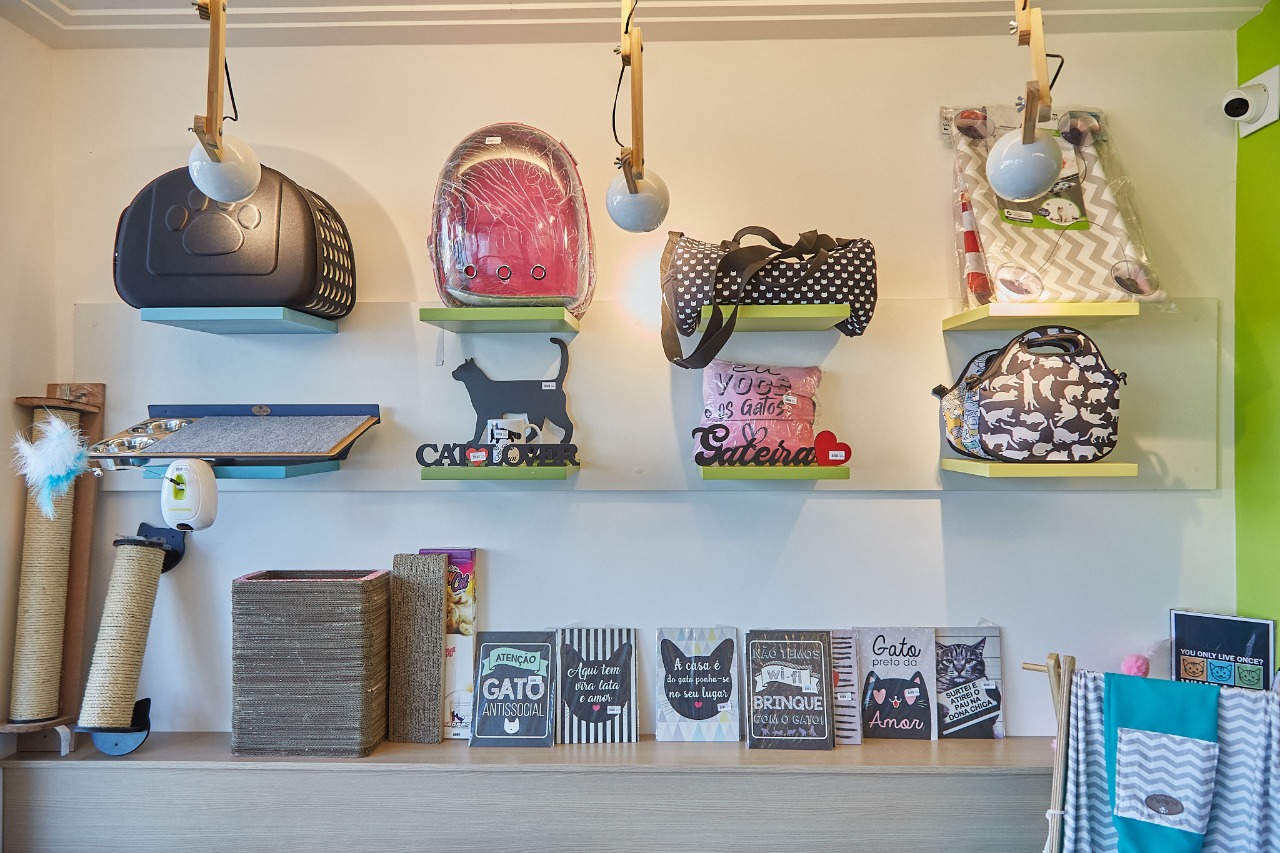 Empresa voltada para gatos planeja abrir mais unidades em capitais do Norte e Nordeste; veja fotos 