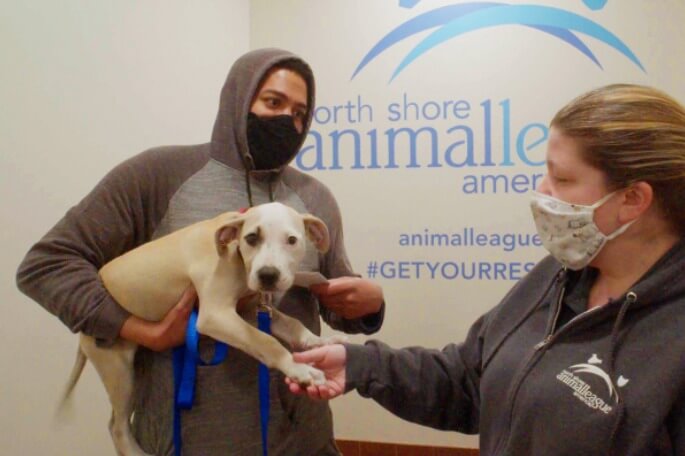 Menino escreve carta para novos tutores de cadela: "Espero que também a amem"