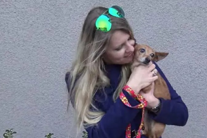Cadela é abandonada em condições precárias em Los Angeles 