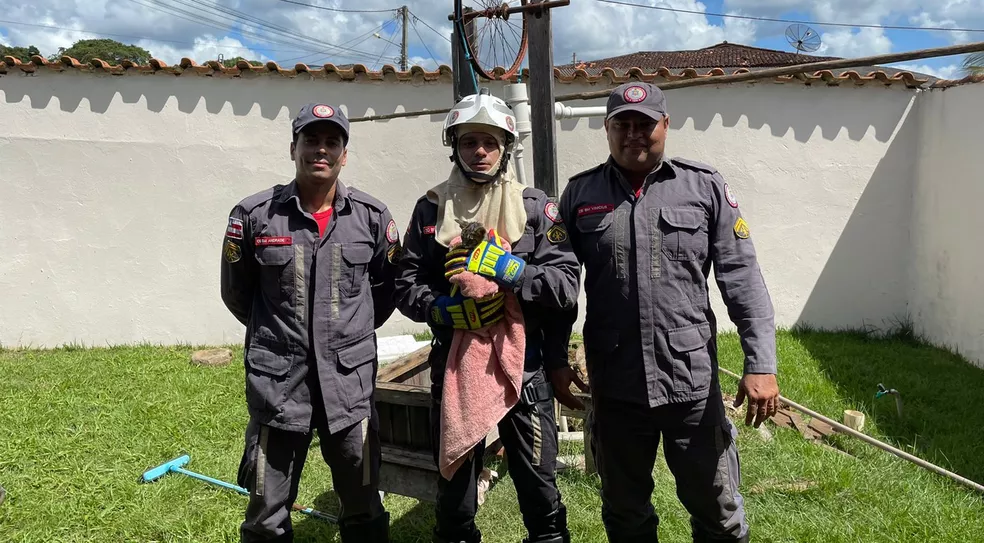 bombeiros