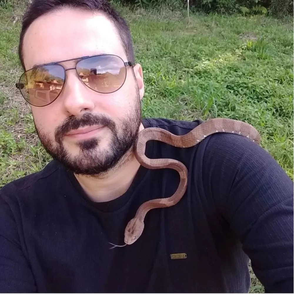 Cobra de espécie rara é encontrada em para-brisa de carro