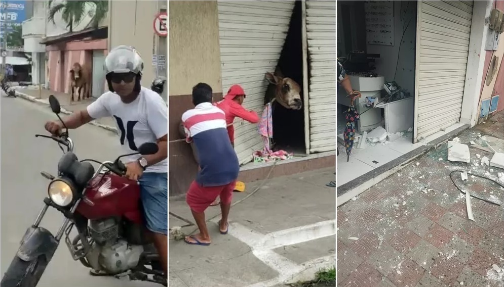 Touro invade lojas, revira barracas e fere pessoas