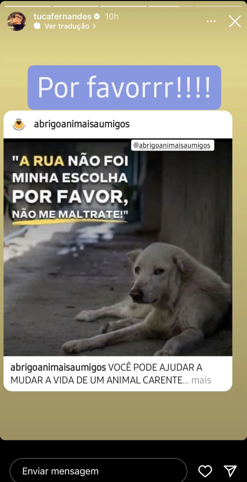 Cantor baiano famoso visita colônia de gatos de Piatã e manda recado: ‘precisam muito da nossa ajuda’