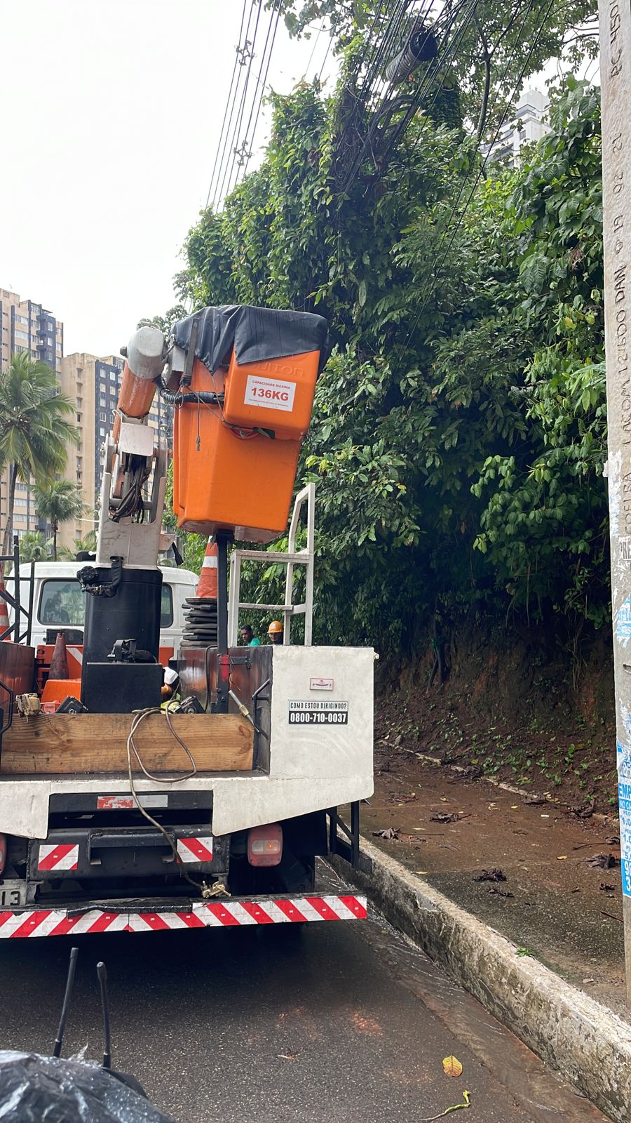Caminhão para fazer a retirada do tronco que caiu na Avenida Garibaldi