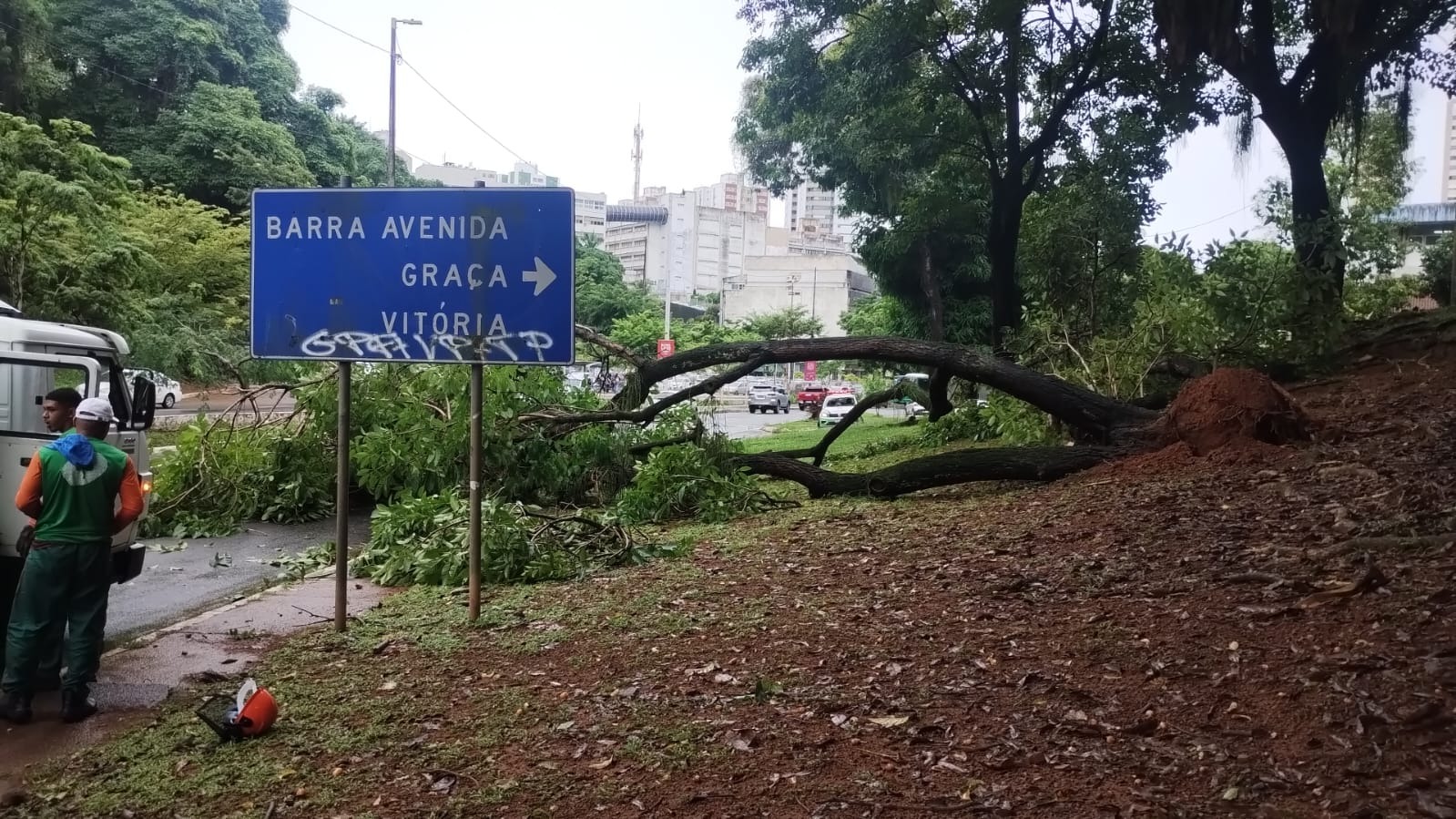Foto: Divulgação/SEMAN