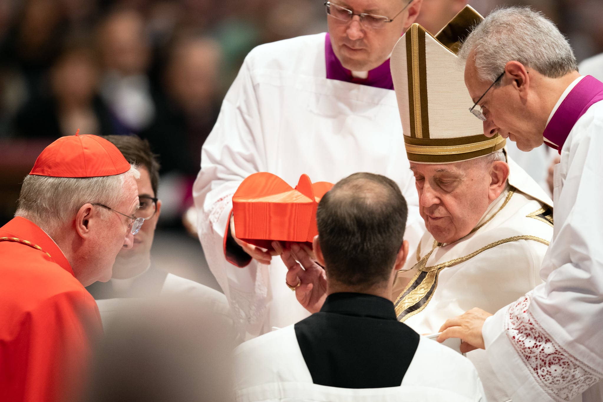 Papa Francisco durante cerimônia de posse de novos cardeais