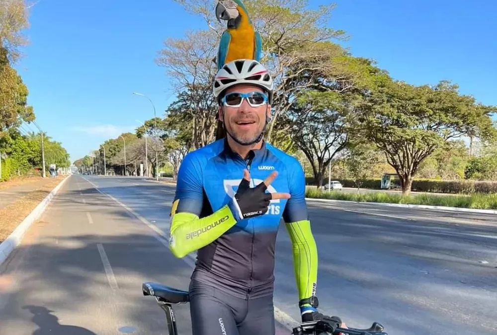 Arara resolve "dar rolê" com ciclista durante treino e conquista rapaz