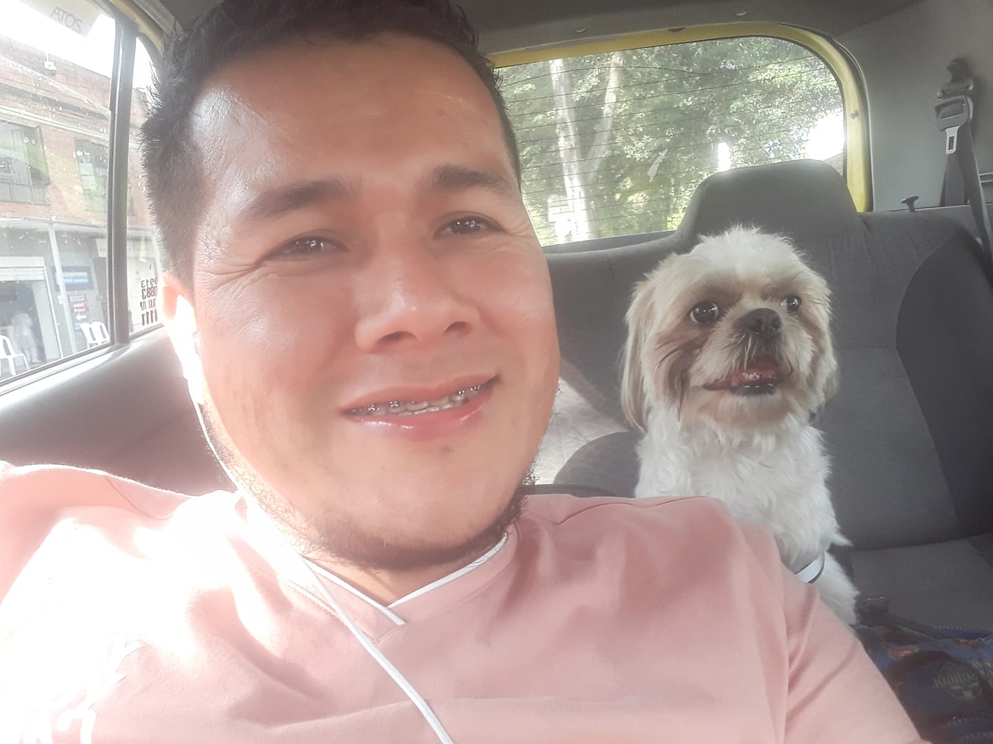 Motorista toma atitude após cachorro idoso ser abandonado em seu táxi