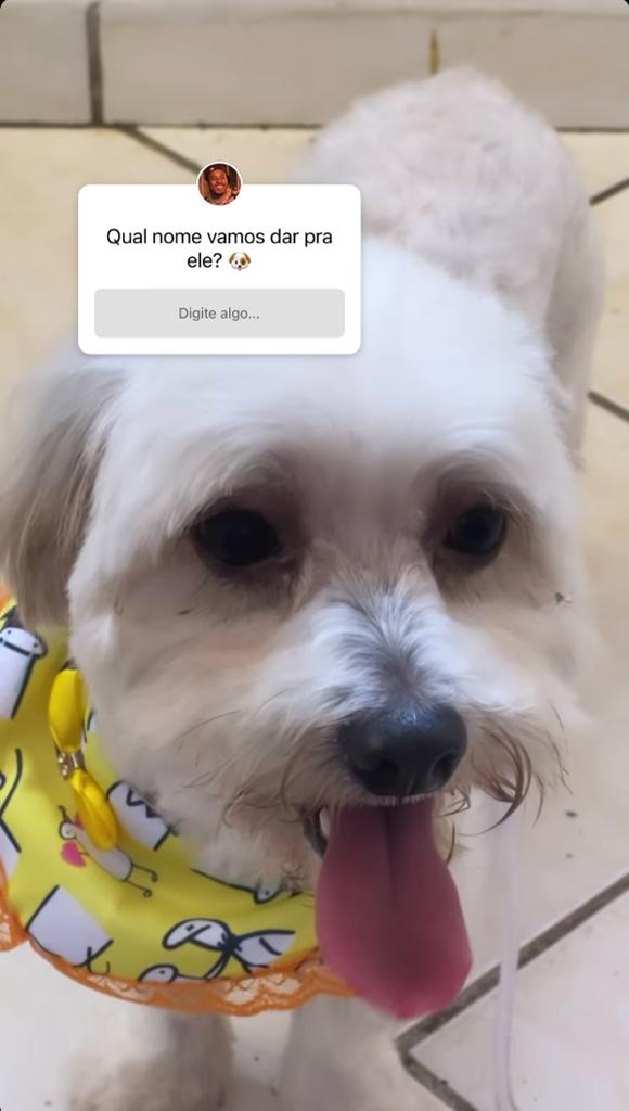 Ex-BBB resgata cão, se apega ao animal, mas precisa devolvê-lo