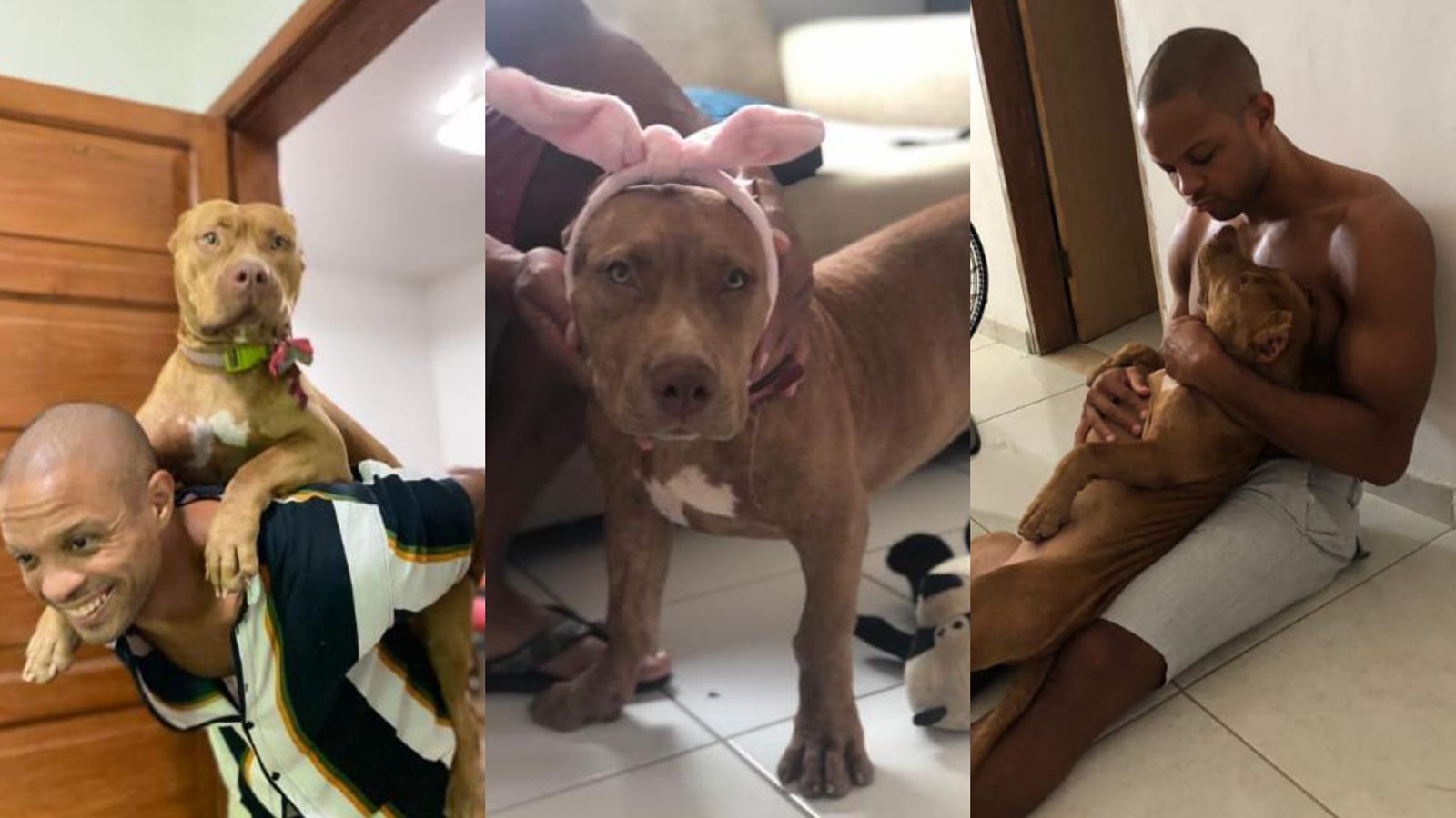 Pais de pets também são pais? Homens revelam benefícios da relação com o animal