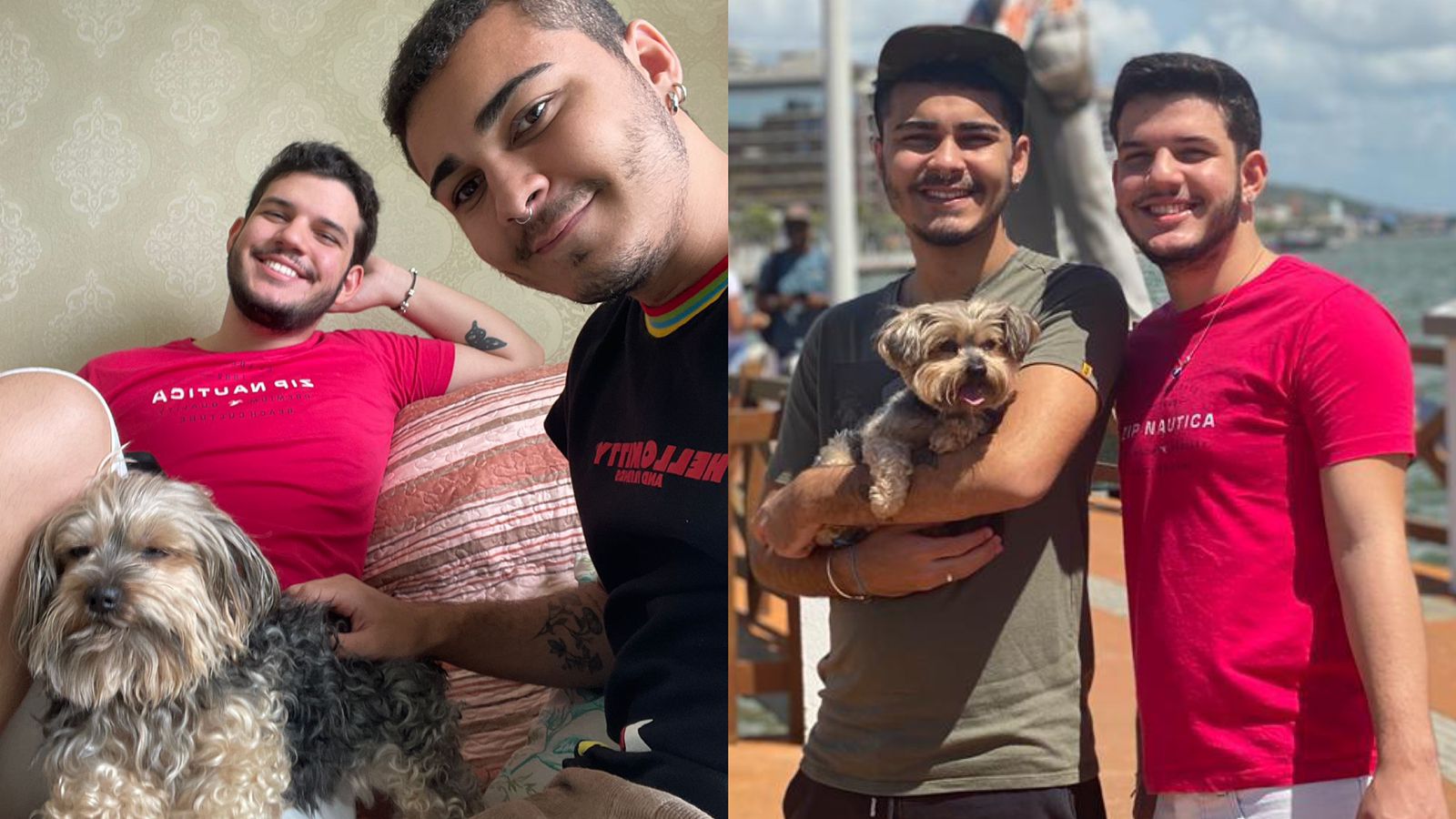 Pais de pets revelam como seus animais mudaram suas vidas 