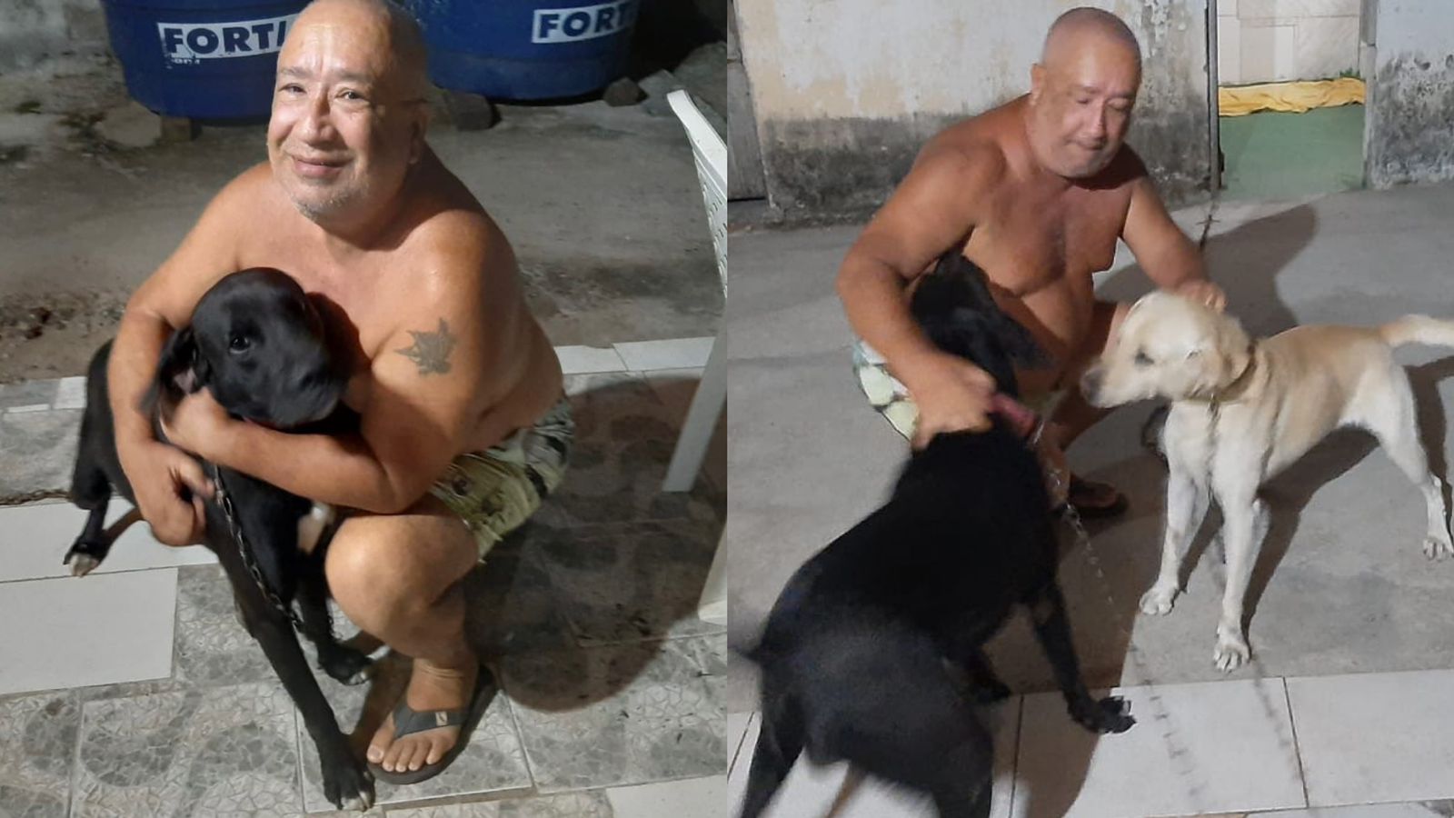 Pais de pets revelam