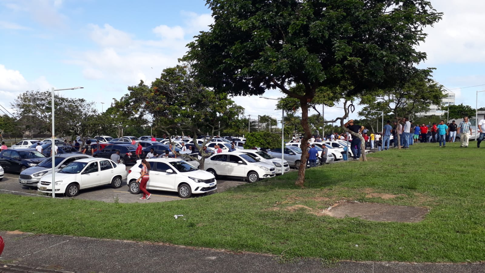 Manifestação 