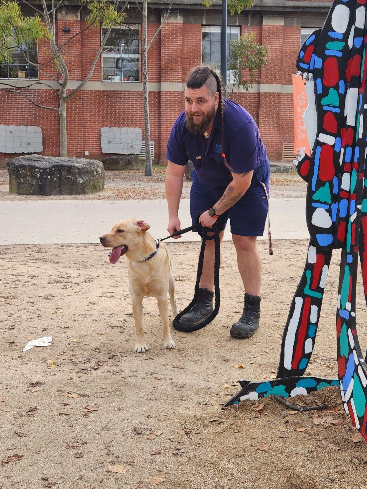cachorro e tutor