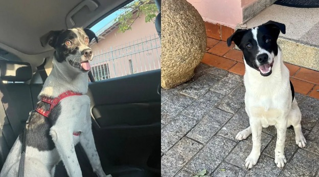 REPRODUÇÃO / ARQUIVO PESSOAL G1