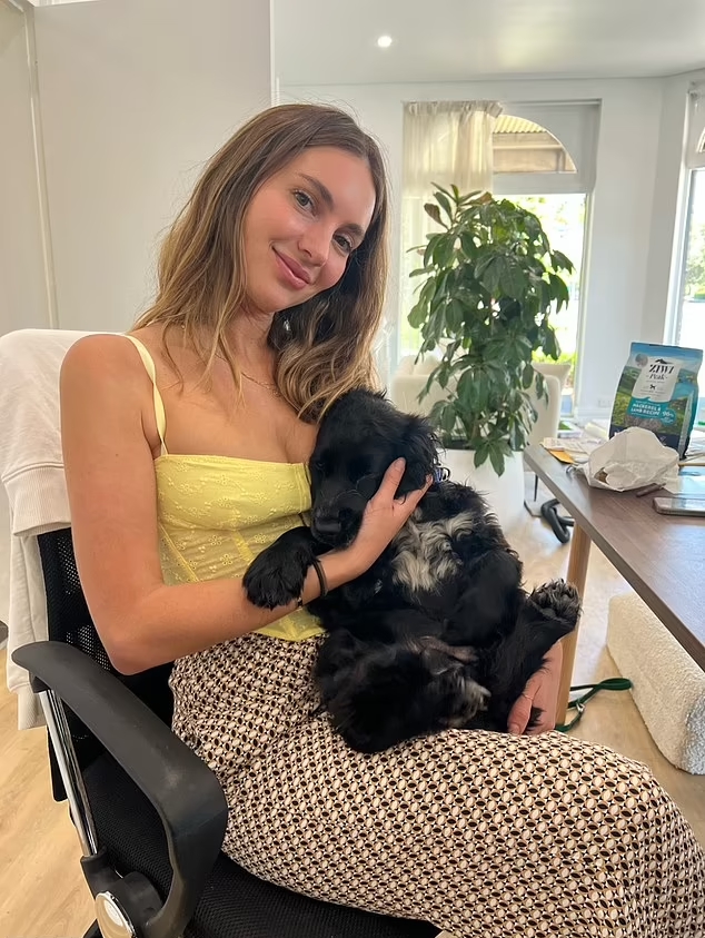 Mulher pede demissão para cuidar de cachorro com ansiedade: "me senti responsável"; veja relato