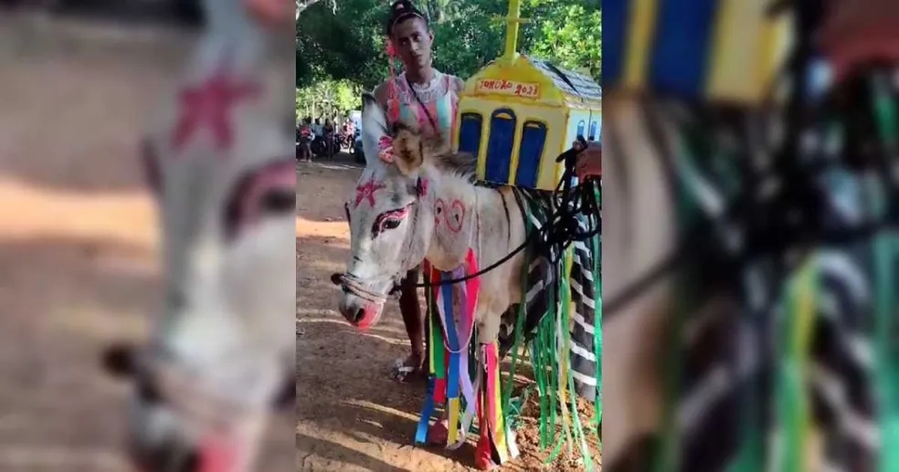 Concurso de jumento mais enfeitado chama atenção no interior do Nordeste; assista