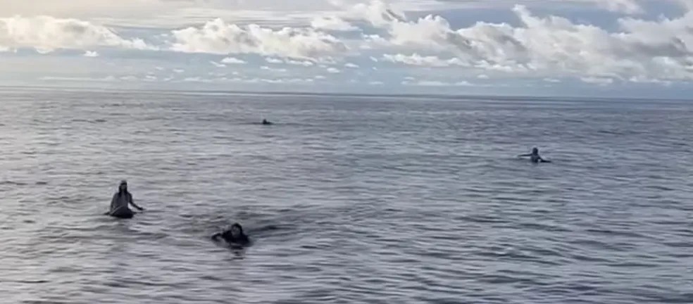 Resgate de três dos quatro surfistas