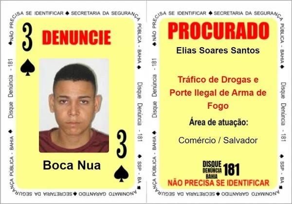 Divulgação