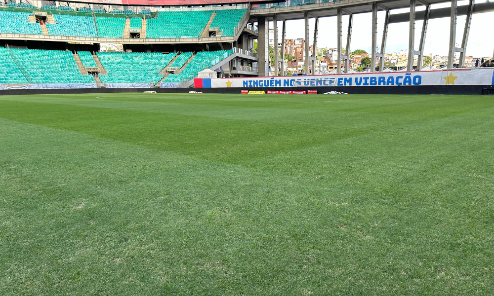 Situação do gramado da Arena Fonte Nova, no setor sul