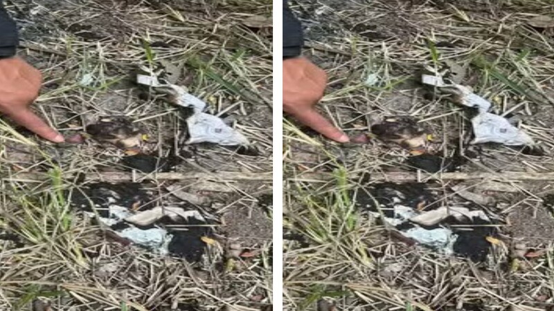 Itens como arma de fogo foram encontrados com o suspeito. Foto: Divulgação/Ascom PC-BA