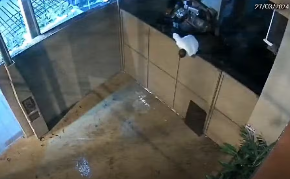 Suspeito foge do estabelecimento 