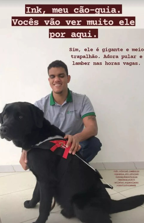 cão-guia