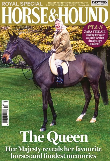cavalo