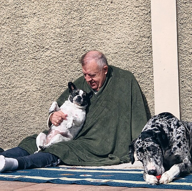 cão