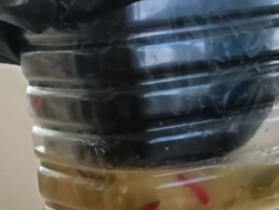 Imagem retirado do vídeo divulgado pelo Portal do Casé