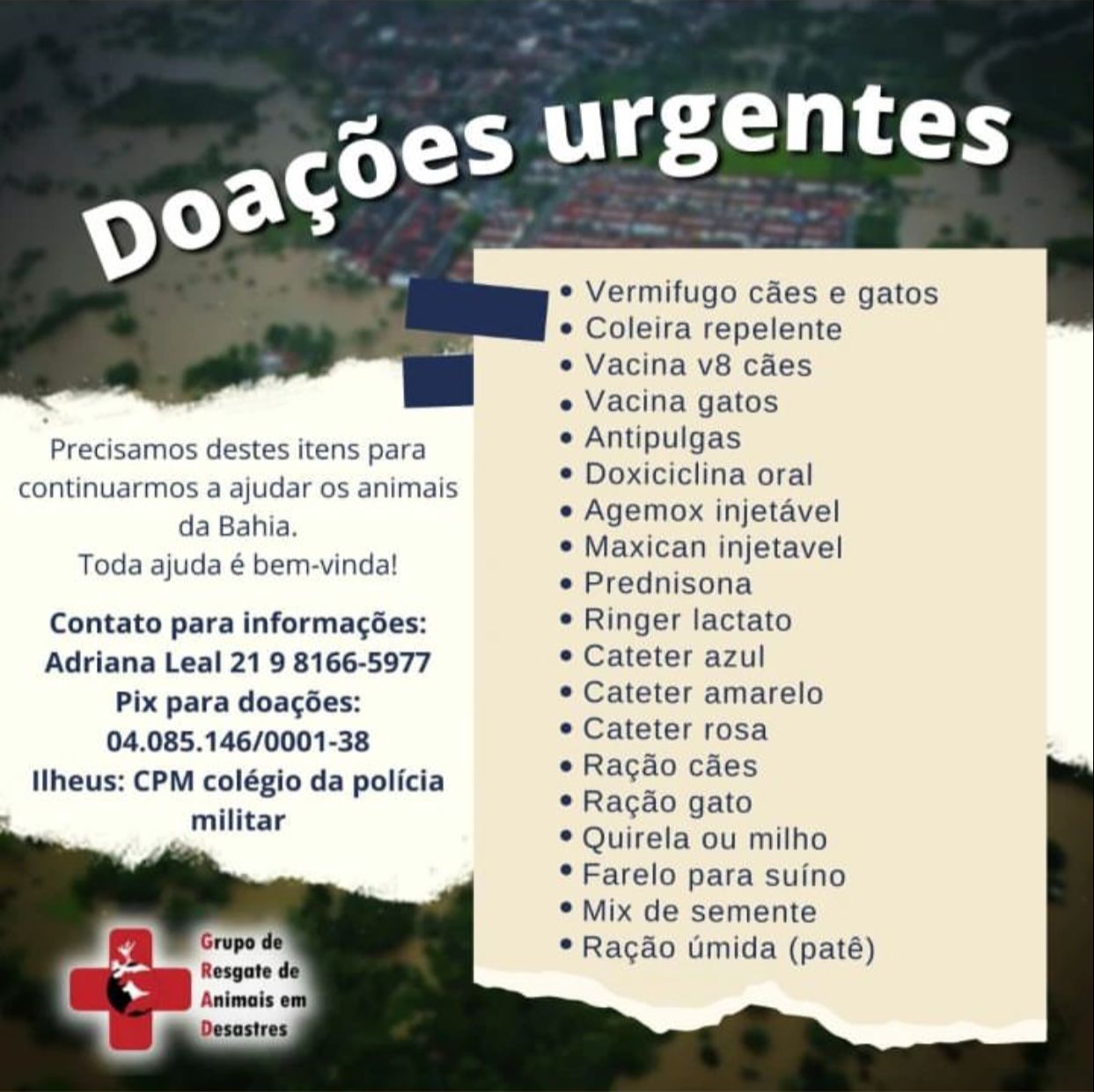 grupo de resgate de animais pede doações