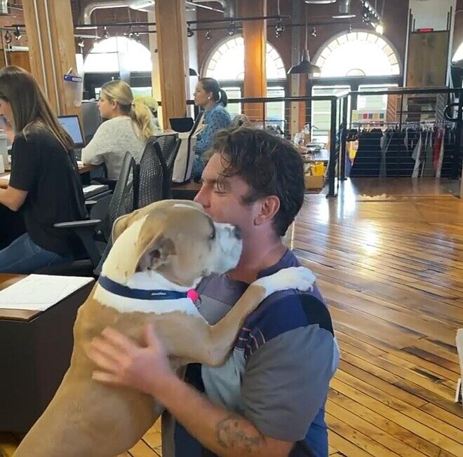 Pitbull viciada em abraços faz sucesso na internet