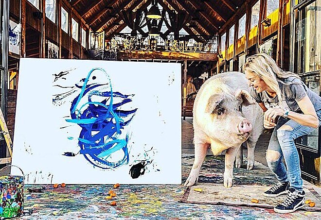 Porca vira fenômeno na internet 