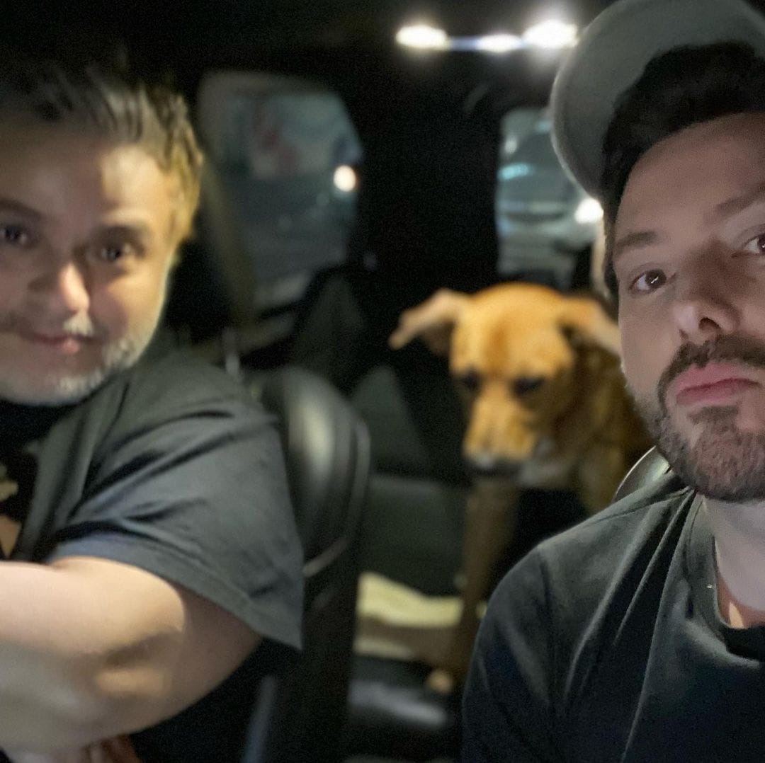 Vira-lata caramelo é adotado por Danilo Gentili