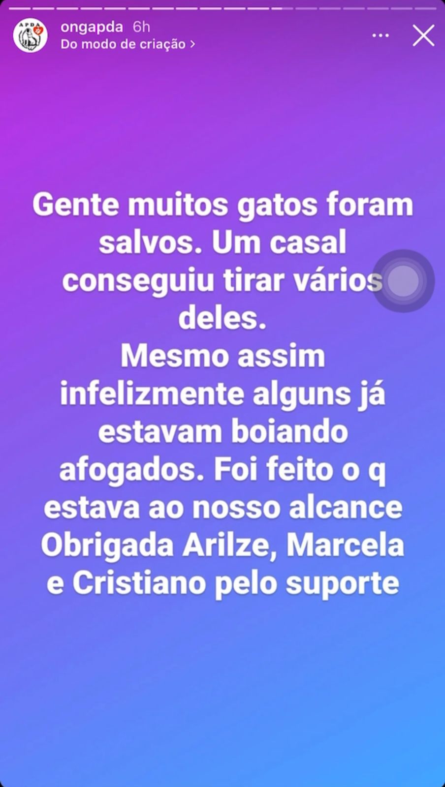 Animais de abrigo morrem após chuvas