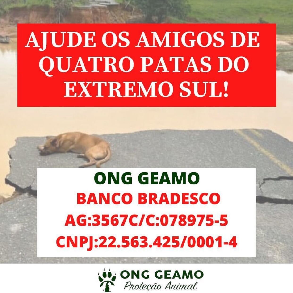 Doações destinadas à animais do extremo sul da Bahia