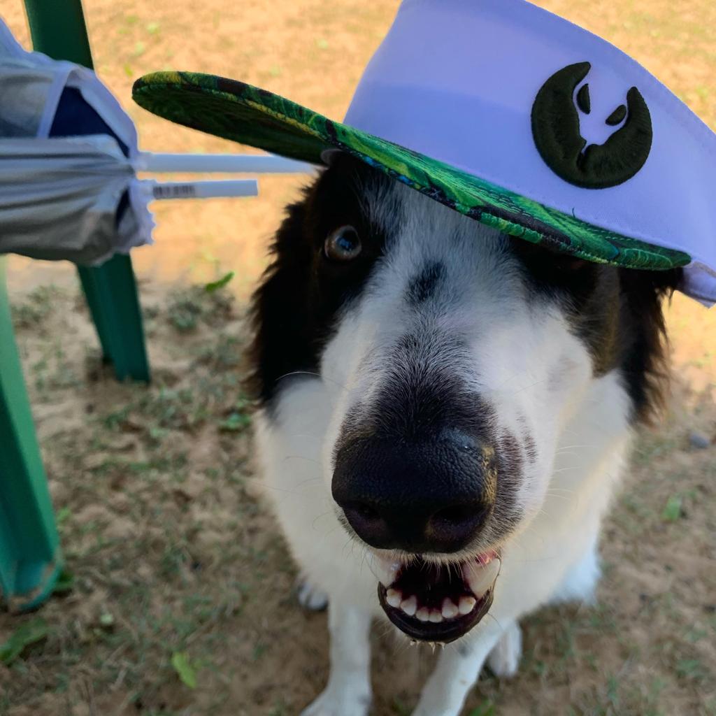 Oreo de férias em Porto de Sauípe