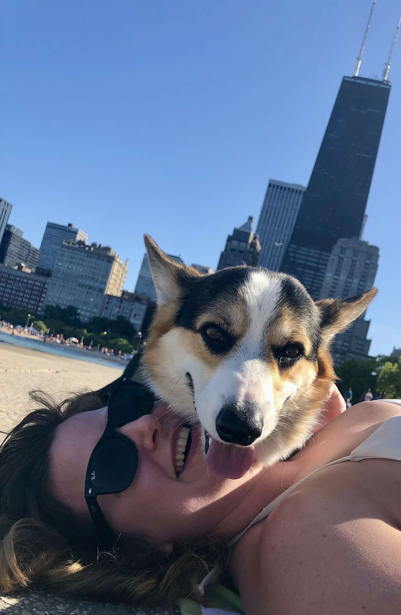 Maneira inusitada de cachorro abraçar encanta tutores