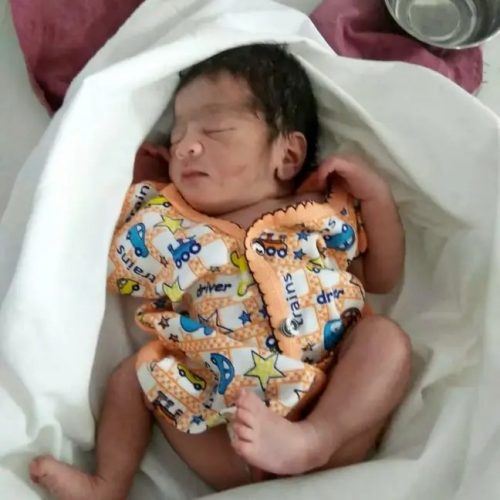 Recém-nascida é encaminhada para ONG