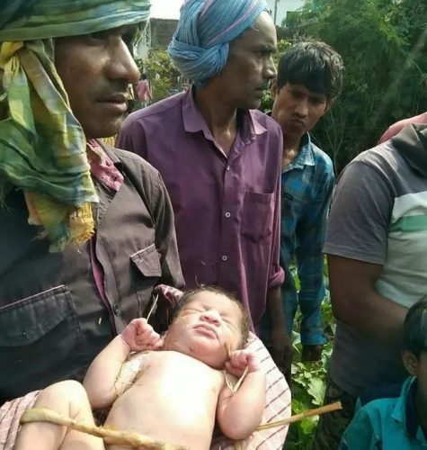 Cachorro salva vida de recém-nascida 