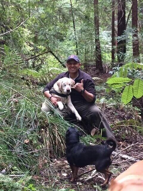 Homem resgata cachorro cego que ficou em montanha durante uma semana