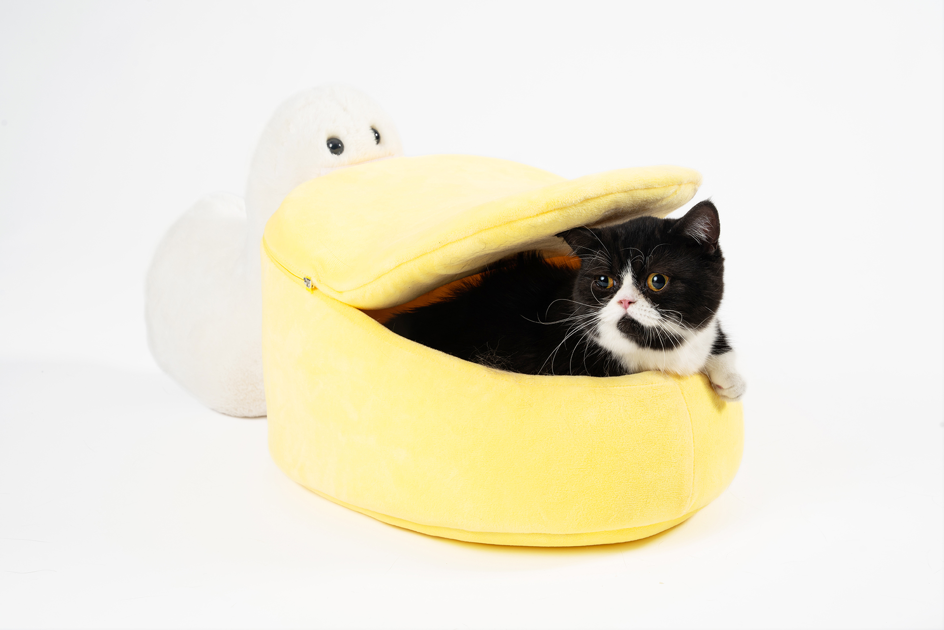 Mimos para seu pet no Natal