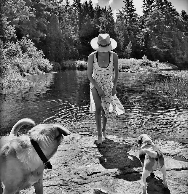 Cão que Meghan Markle deixou para trás aparece em tease de documentário sobre a Duquesa de Sussex