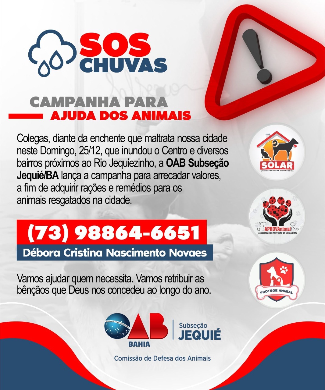 Abrigos de animais ficam destruídos por causa das fortes chuvas em Jequié; veja imagens 